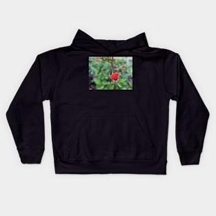 Rose Bud 1 Kids Hoodie